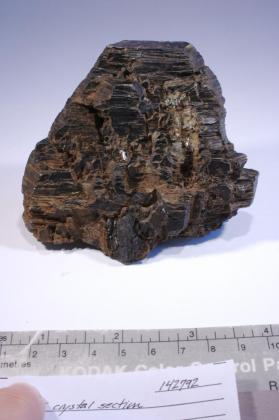 Biotite