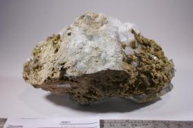 Clinozoisite