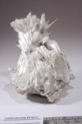 TREMOLITE