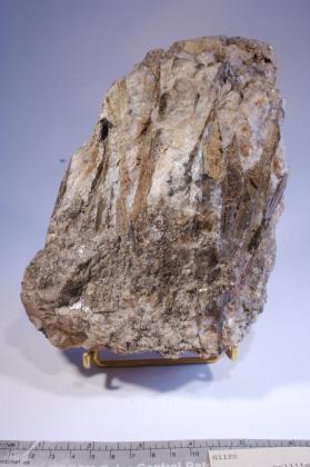 Astrophyllite