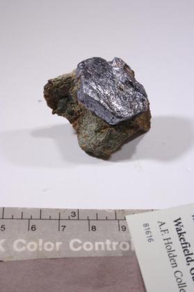 Molybdenite