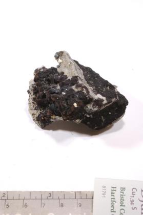 Djurleite