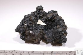 Argentopyrite with Galena