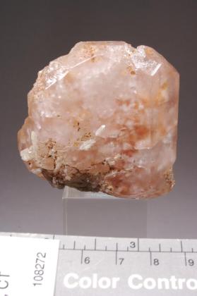 Morganite