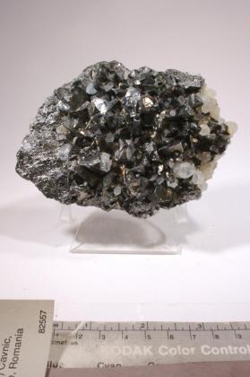 Tetrahedrite