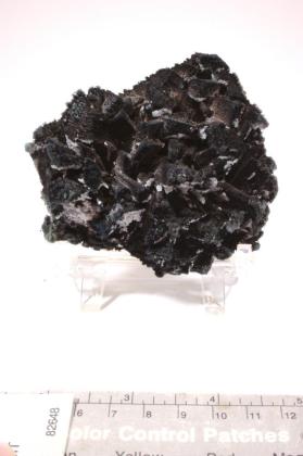 Enargite