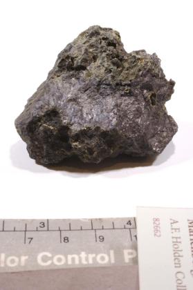 Lautite