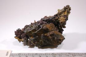 Tenorite