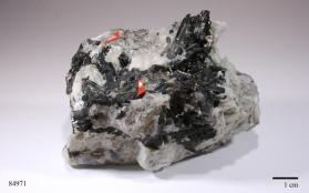 schizolite