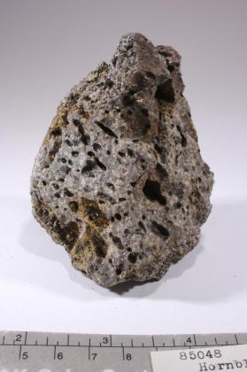 Hornblende