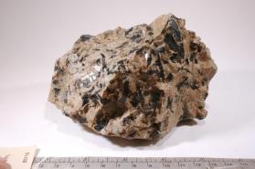 polymignite