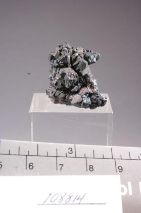 Bornite