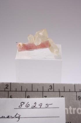 rubellite with Quartz