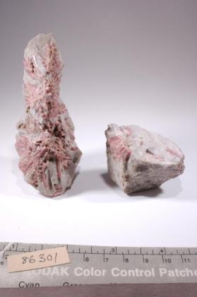 rubellite with Lepidolite