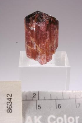 rubellite