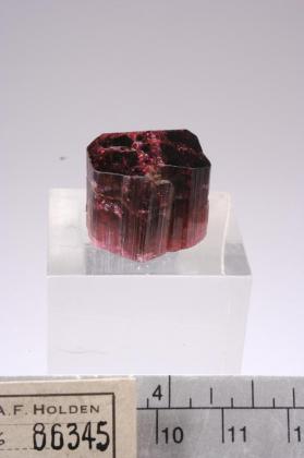 rubellite