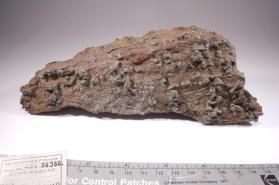 STAUROLITE