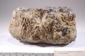 pycnite