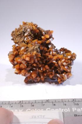 Wulfenite