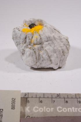 Tennantite