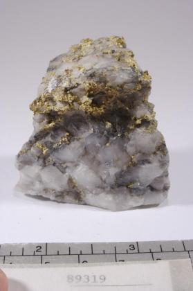 Gold with Quartz