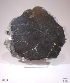 Rammelsbergite