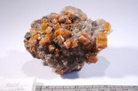 Wulfenite