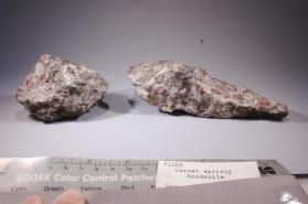 rhodolite