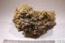 Arsenopyrite with Siderite