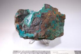 CHRYSOCOLLA