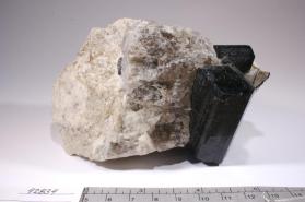 SCHORL