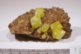 Sulfur