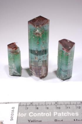 Tourmaline Group