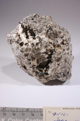 TOPAZ with MICROCLINE and Muscovite and Quartz