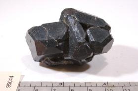 SPINEL