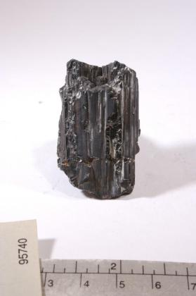 Sartorite