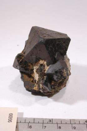 SPINEL