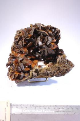 Wulfenite