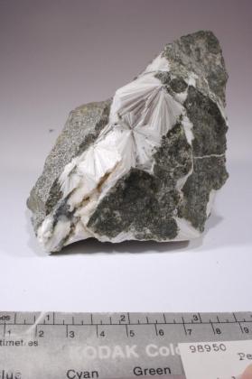 Pectolite