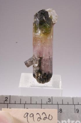 ELBAITE and Foitite