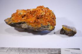 Wulfenite