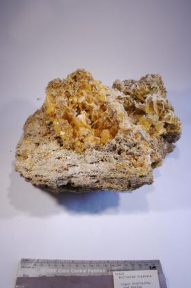 Wulfenite