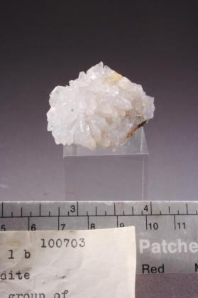 Creedite