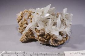 Gypsum