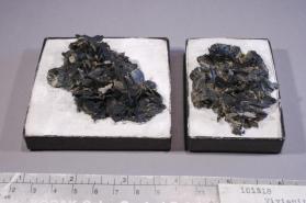 Vivianite