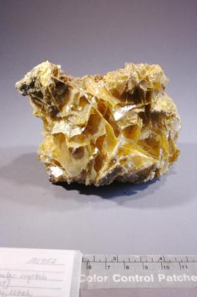 Wulfenite