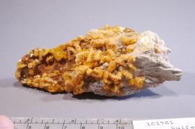 Wulfenite