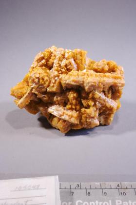 Wulfenite