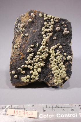 Mimetite