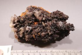 Plattnerite